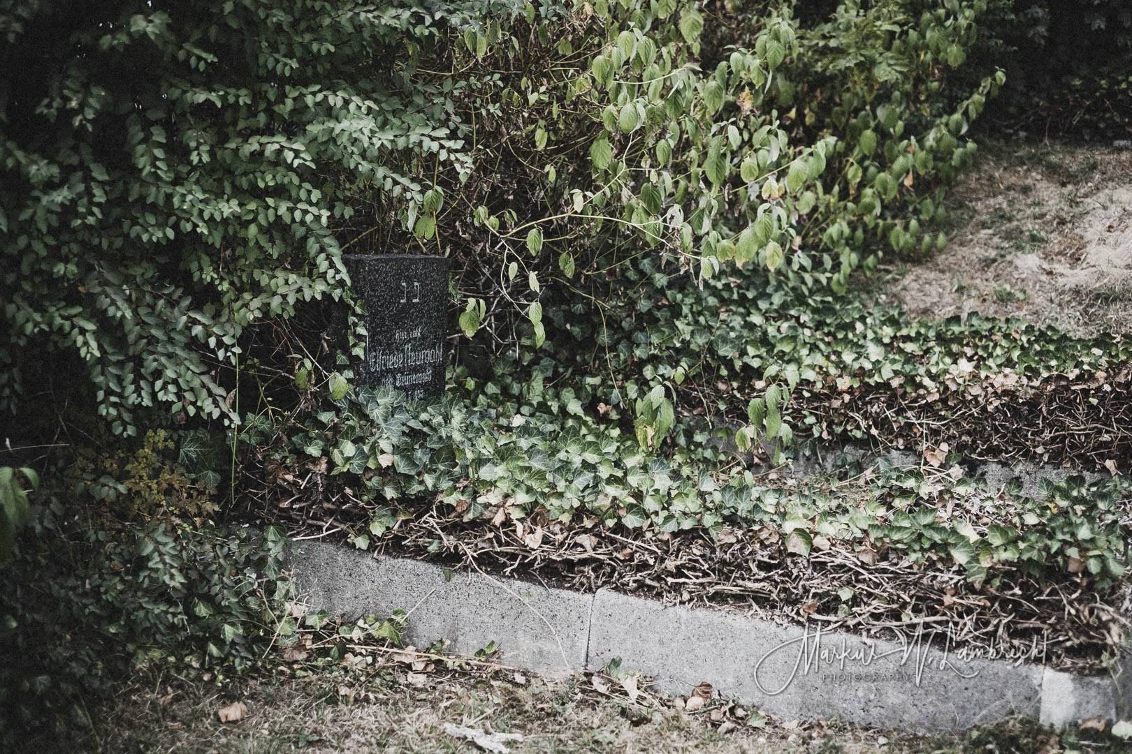 Brilon, Jüdischer Friedhof